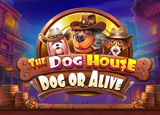 The Dog House Megaways RTP 96.55% ve Volatilite Analizi